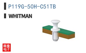 P119G-50H-C51TB ͼƬ